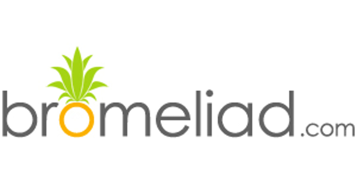 BROMELIAD GROUP LTD logo