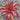 Neoregelia 'Sweet Vibrations'