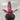 Neoregelia tristis